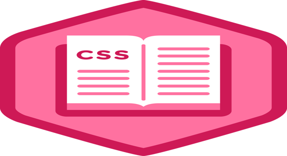20201224-09-24-41.91_badges_css_basics_stage1.png