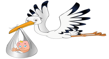 20201230-13-41-56.89_stork-4482222_1920.png