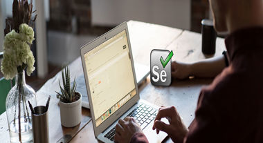 20210205-21-31-39.38_How-to-find-Web-Elements-with-Selenium-WebDriver.jpg
